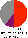 Image Information Inc. Profit and Loss Account 2021年3月期