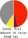 Image Information Inc. Profit and Loss Account 2020年3月期
