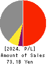 Denyo Co.,Ltd. Profit and Loss Account 2024年3月期