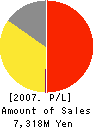 TEN CORPORATION Profit and Loss Account 2007年12月期