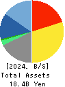 TerraSky Co.,Ltd Balance Sheet 2024年Feb期 TerraSky Co.,Ltd Balance Sheet 2024年2月期