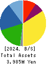 DAIWA TSUSHIN Co.,Ltd Balance Sheet 2024年3月期