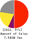 CELSYS,Inc. Profit and Loss Account 2022年12月期