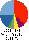 YAMANO HOLDINGS CORPORATION Balance Sheet 2021年Mar期 YAMANO HOLDINGS CORPORATION Balance Sheet 2021年3月期