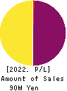 HEALIOS K.K. Profit and Loss Account 2022年12月期
