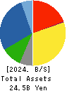 OTAKE CORPORATION Balance Sheet 2024年5月期