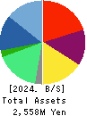MKSystem Corporation Balance Sheet 2024年3月期