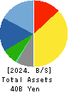 PARIS MIKI HOLDINGS Inc. Balance Sheet 2024年Mar期 PARIS MIKI HOLDINGS Inc. Balance Sheet 2024年3月期