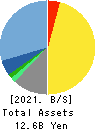 Advanced Media,Inc. Balance Sheet 2021年3月期