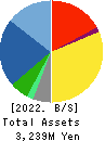 Care Service Co.,Ltd. Balance Sheet 2022年Mar期 Care Service Co.,Ltd. Balance Sheet 2022年3月期