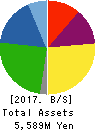 TEIN, INC. Balance Sheet 2017年Mar期 TEIN, INC. Balance Sheet 2017年3月期