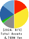 Medical Data Vision Co.,Ltd. Balance Sheet 2024年Dec期 Medical Data Vision Co.,Ltd. Balance Sheet 2024年12月期