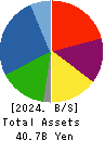 INTELLEX Co.,Ltd. Balance Sheet 2024年May期 INTELLEX Co.,Ltd. Balance Sheet 2024年5月期