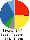 HAZAMA ANDO CORPORATION Balance Sheet 2024年Mar期 HAZAMA ANDO CORPORATION Balance Sheet 2024年3月期