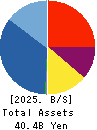 The Global Ltd. Balance Sheet 2025年6月期