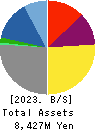 BESTERRA CO.,LTD Balance Sheet 2023年1月期