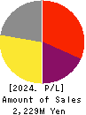 Datasection Inc. Profit and Loss Account 2024年Mar期 Datasection Inc. Profit and Loss Account 2024年3月期