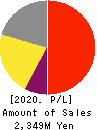 CRI Middleware Co.,Ltd. Profit and Loss Account 2020年9月期