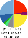 Anicom Holdings, Inc. Balance Sheet 2021年3月期