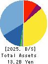 Bleach,Inc. Balance Sheet 2025年Jun期 Bleach,Inc. Balance Sheet 2025年6月期