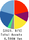 itsumo.inc. Balance Sheet 2023年Mar期 itsumo.inc. Balance Sheet 2023年3月期