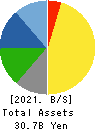Tenryu Saw Mfg. Co.,Ltd. Balance Sheet 2021年Mar期 Tenryu Saw Mfg. Co.,Ltd. Balance Sheet 2021年3月期