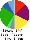 TESS Holdings Co.,Ltd. Balance Sheet 2024年Jun期 TESS Holdings Co.,Ltd. Balance Sheet 2024年6月期