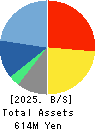Image Information Inc. Balance Sheet 2025年Mar期 Image Information Inc. Balance Sheet 2025年3月期