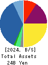 SRE Holdings Corporation Balance Sheet 2024年Mar期 SRE Holdings Corporation Balance Sheet 2024年3月期