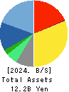 SOLXYZ Co., Ltd. Balance Sheet 2024年Dec期 SOLXYZ Co., Ltd. Balance Sheet 2024年12月期