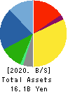 ALTECH CO.,LTD. Balance Sheet 2020年Nov期 ALTECH CO.,LTD. Balance Sheet 2020年11月期
