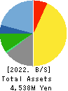 TOWNNEWS-SHA CO., LTD. Balance Sheet 2022年Jun期 TOWNNEWS-SHA CO., LTD. Balance Sheet 2022年6月期