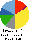 BSN MEDIA HOLDINGS, INC. Balance Sheet 2022年Mar期 BSN MEDIA HOLDINGS, INC. Balance Sheet 2022年3月期