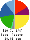 BIKEN TECHNO CORPORATION Balance Sheet 2017年Mar期 BIKEN TECHNO CORPORATION Balance Sheet 2017年3月期