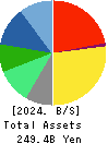AIN HOLDINGS INC. Balance Sheet 2024年Apr期 AIN HOLDINGS INC. Balance Sheet 2024年4月期