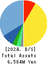 Double Standard Inc. Balance Sheet 2024年Mar期 Double Standard Inc. Balance Sheet 2024年3月期