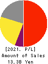 PCA CORPORATION Profit and Loss Account 2021年3月期