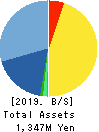 TRaaS On Product Inc. Balance Sheet 2019年Jan期 TRaaS On Product Inc. Balance Sheet 2019年1月期