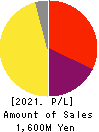 Photosynth inc. Profit and Loss Account 2021年12月期