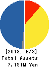 Enigmo Inc. Balance Sheet 2019年Jan期 Enigmo Inc. Balance Sheet 2019年1月期
