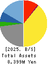Artiza Networks,Inc. Balance Sheet 2025年7月期
