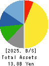 AIGAN CO.,LTD. Balance Sheet 2025年3月期