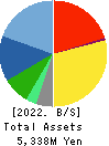 UP GARAGE GROUP Co., Ltd. Balance Sheet 2022年Mar期 UP GARAGE GROUP Co., Ltd. Balance Sheet 2022年3月期