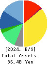 NSD CO., LTD. Balance Sheet 2024年Mar期 NSD CO., LTD. Balance Sheet 2024年3月期