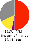 Saison Technology Co.,Ltd. Profit and Loss Account 2025年3月期