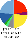 Anicom Holdings, Inc. Balance Sheet 2022年3月期