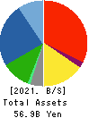 OCHI HOLDINGS CO.,LTD. Balance Sheet 2021年Mar期 OCHI HOLDINGS CO.,LTD. Balance Sheet 2021年3月期