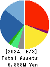 Terilogy Holdings Corporation Balance Sheet 2024年3月期