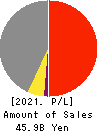 SAINT-CARE HOLDING CORPORATION Profit and Loss Account 2021年Mar期 SAINT-CARE HOLDING CORPORATION Profit and Loss Account 2021年3月期
