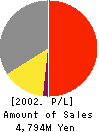 Little eArth Corporation Co.,Ltd. Profit and Loss Account 2002年12月期